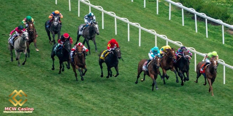 Manage Your Betting Budget Wisely