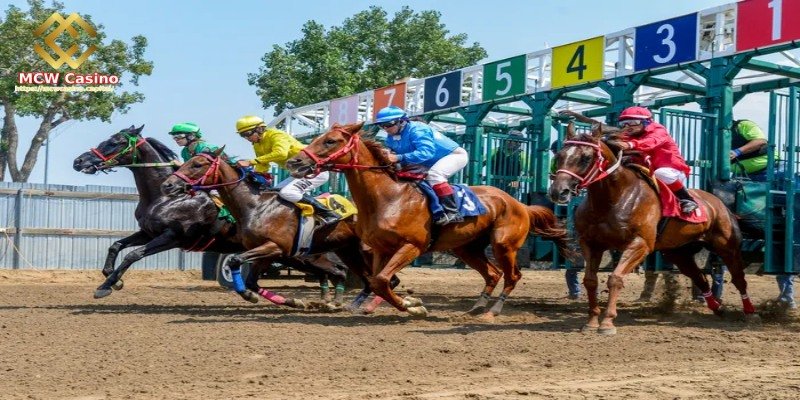 Overview of Horse Racing Betting