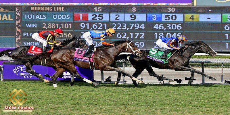 Why You Should Join Horse Racing Betting
